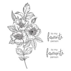 Spellbinders - BetterPress Letterpress System 7 Spellbinders - BetterPress Letterpress System -Bürobedarf spellbinders betterpress letterpress system bp 001 3