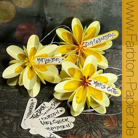 FarbTon - Stempel-Set 105 1 FarbTon - Stempel-Set 105