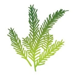 Couture Creations Hotfoil Stamp - Tannenzweige